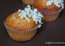 Holunderblüten Muffin mit Macadamia